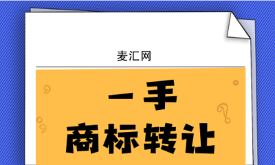 技术转让中的知识产权保护 聚焦软件技术转让的关键策略与法律考量